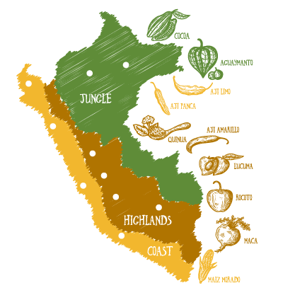 Hand drawing illustration of a map of Peru with various country-specific products, corn, quinoa, cocoa.
